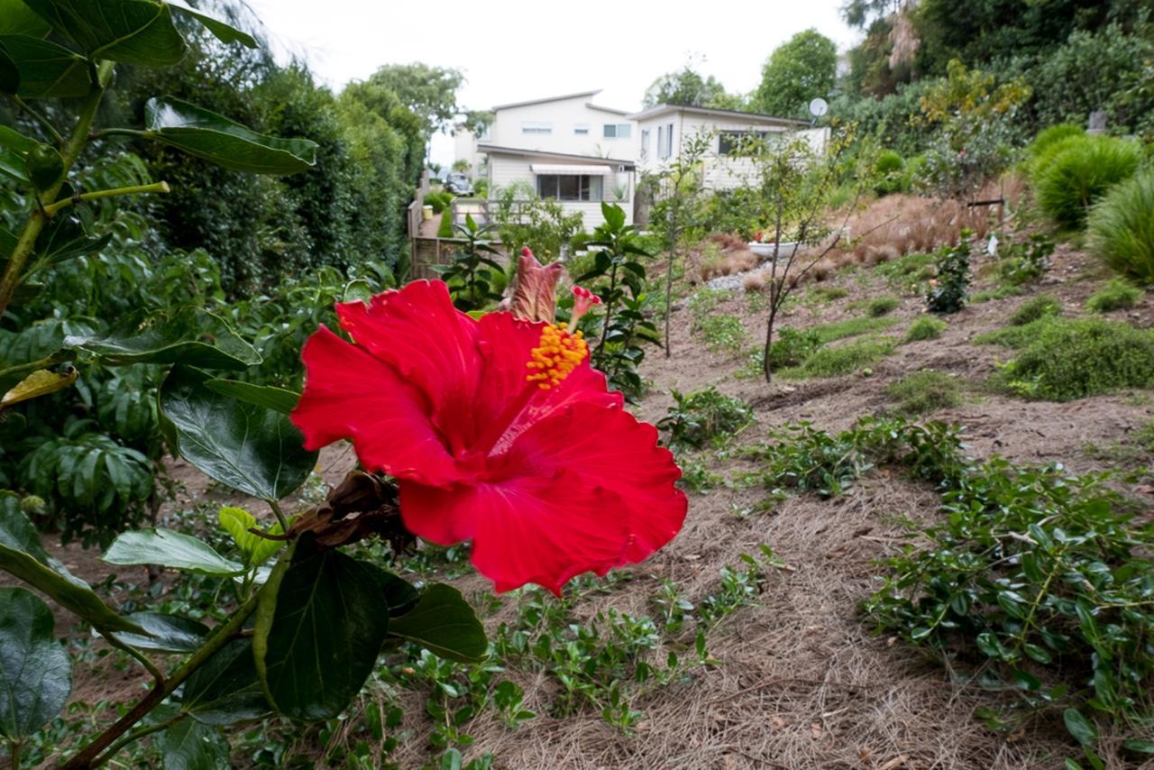 Oneroa Secret Garden Apartments Exterior photo
